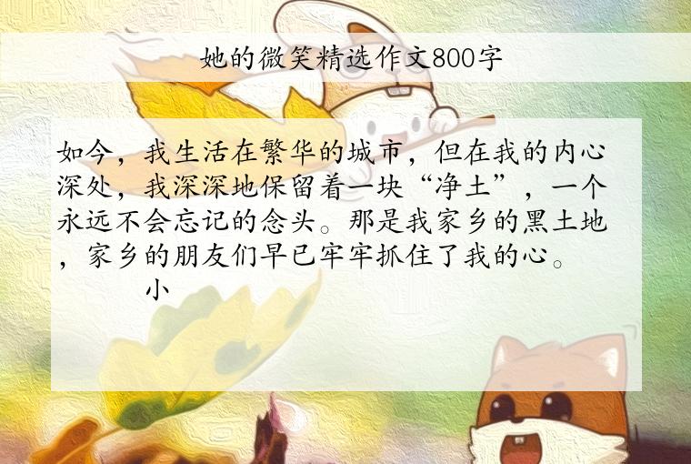 她的微笑精选作文800字