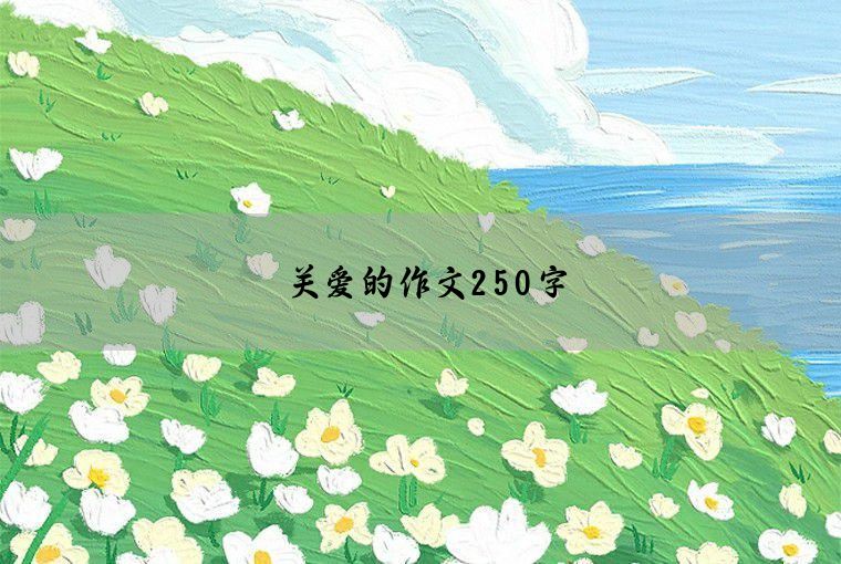 关爱的作文250字