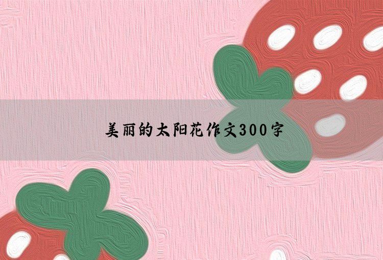 美丽的太阳花作文300字