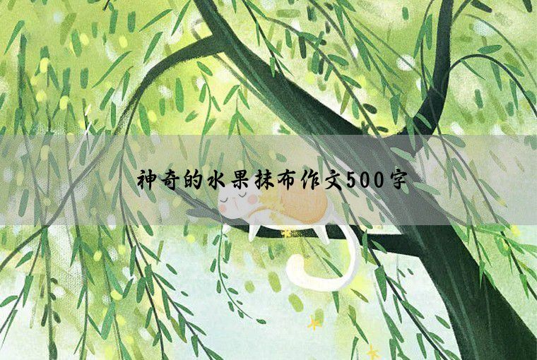 神奇的水果抹布作文500字