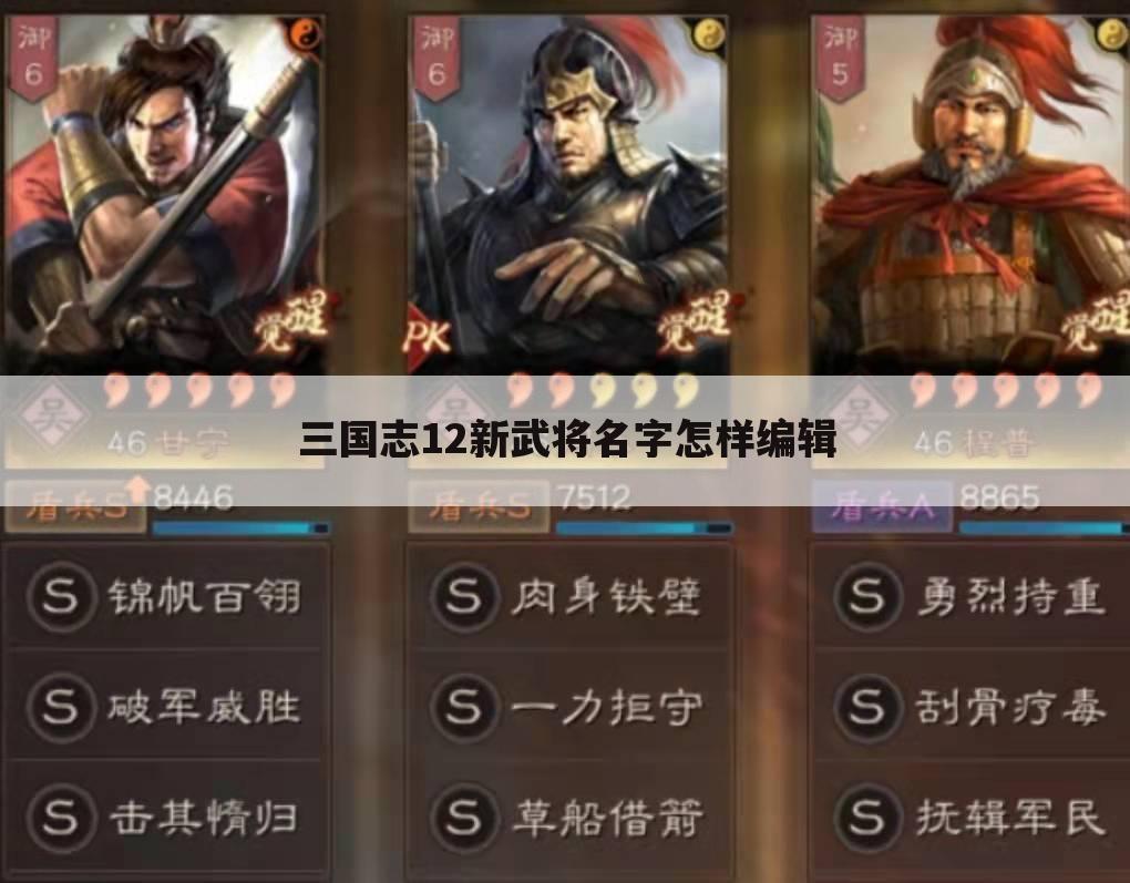 三国志12新武将名字怎样编辑