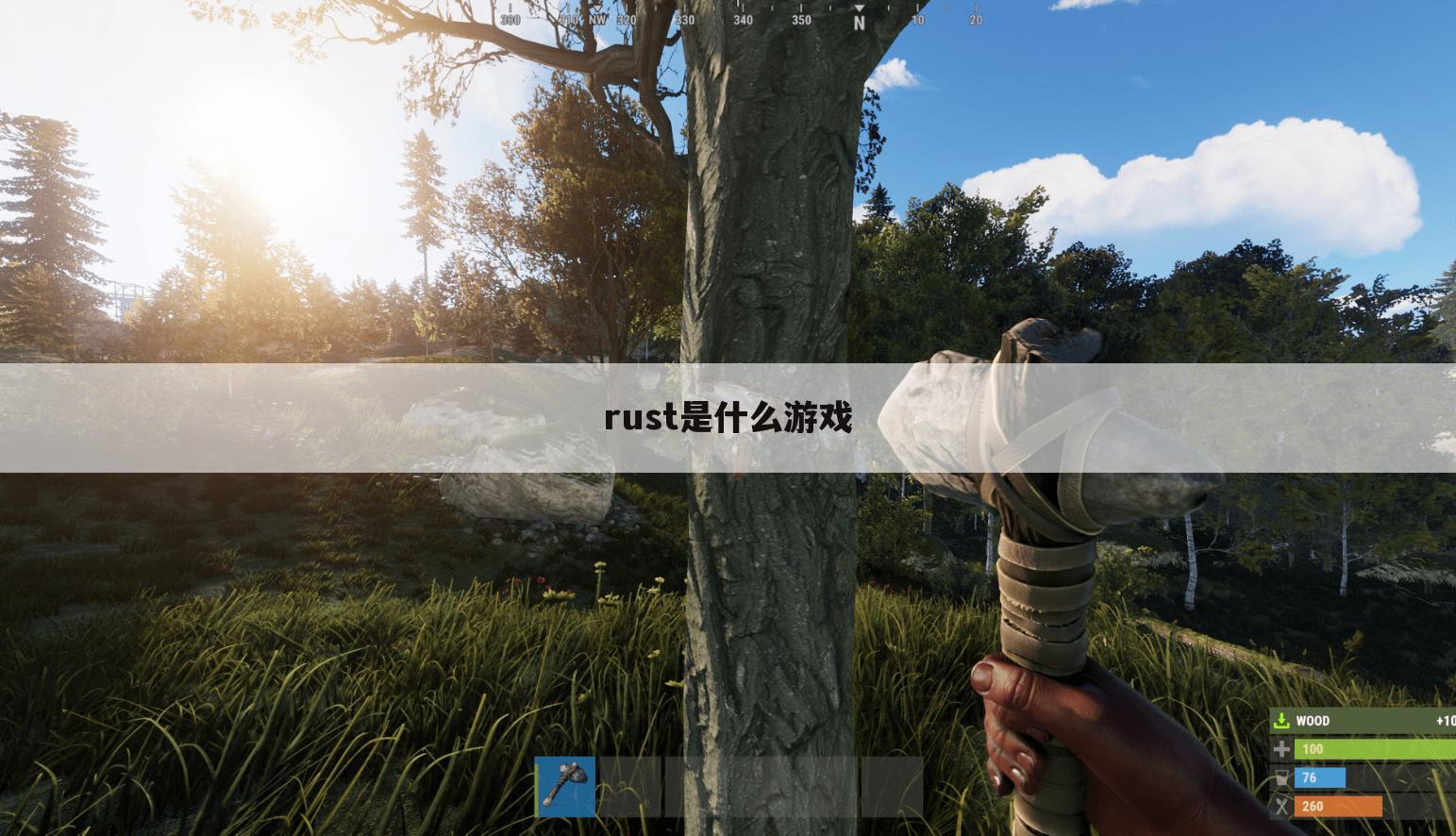 rust是什么游戏