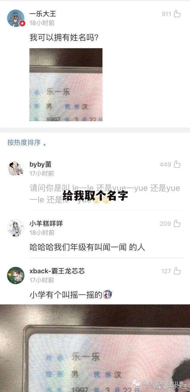 给我取个名字