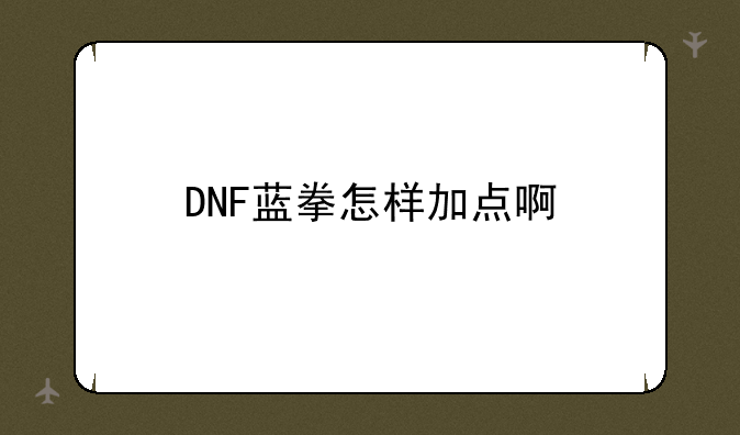 DNF蓝拳怎样加点啊