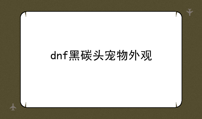dnf黑碳头宠物外观