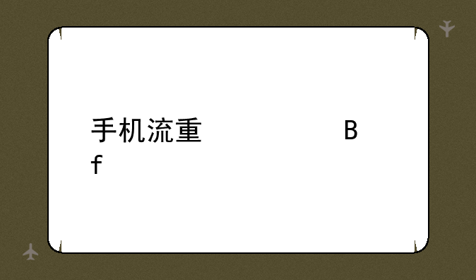 手机流量管理器