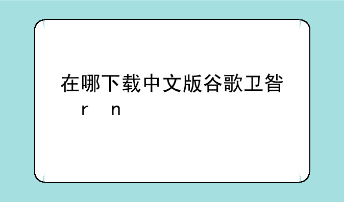 在哪下载中文版谷歌卫星地图