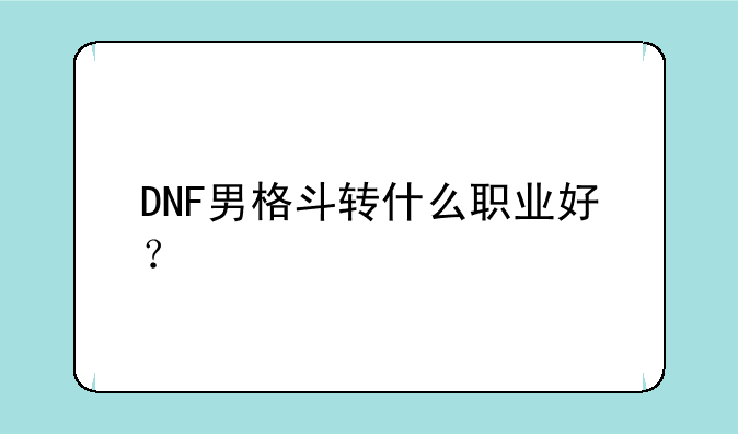 DNF男格斗转什么职业好？