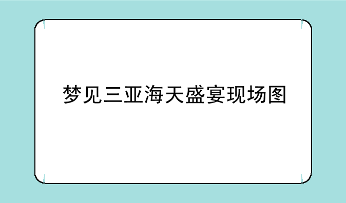 梦见三亚海天盛宴现场图