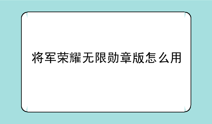 将军荣耀无限勋章版怎么用