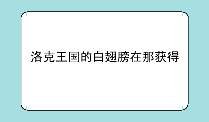 洛克王国的白翅膀在那获得