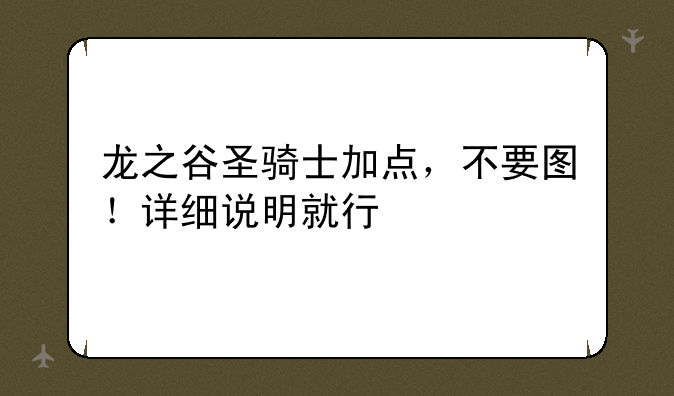 龙之谷圣骑士加点，不要图！详细说明就行