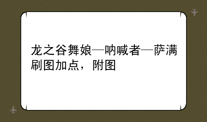 龙之谷舞娘—呐喊者—萨满刷图加点，附图