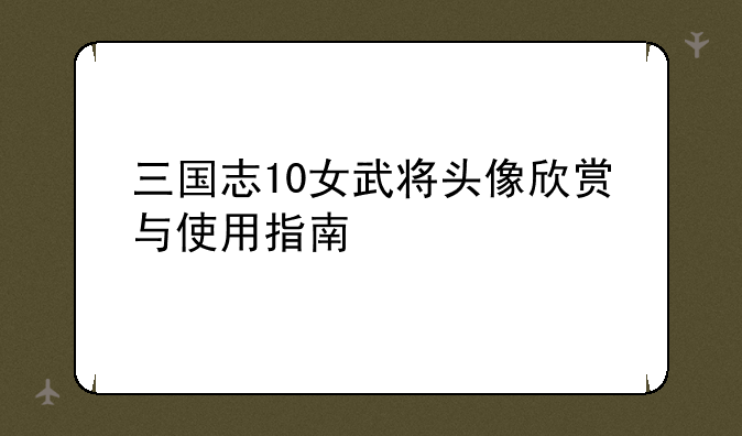 三国志10女武将头像欣赏与使用指南