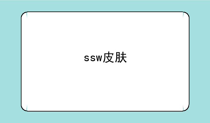 ssw皮肤