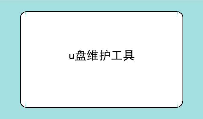 u盘维护工具