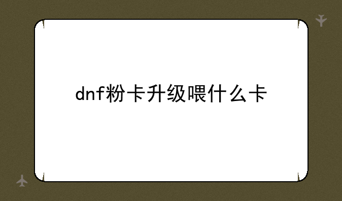 dnf粉卡升级喂什么卡